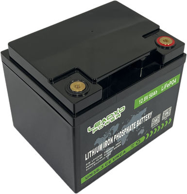 comprar Baterías profundas recargables del ciclo de la batería de ión de litio 12v 50Ah LiFePO4 de BMS Marine Boat fabricación en línea