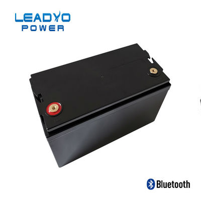 comprar Caja plástica de las baterías 12V 100amp Screwable de LEADYO BMS Marine Lifepo 4 fabricación en línea
