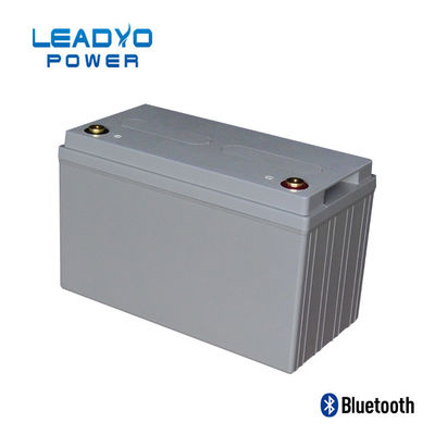 comprar la batería de 50Ah 24V Lifepo4 profundamente completa un ciclo el litio Ion Battery Weight 31 libras fabricación en línea