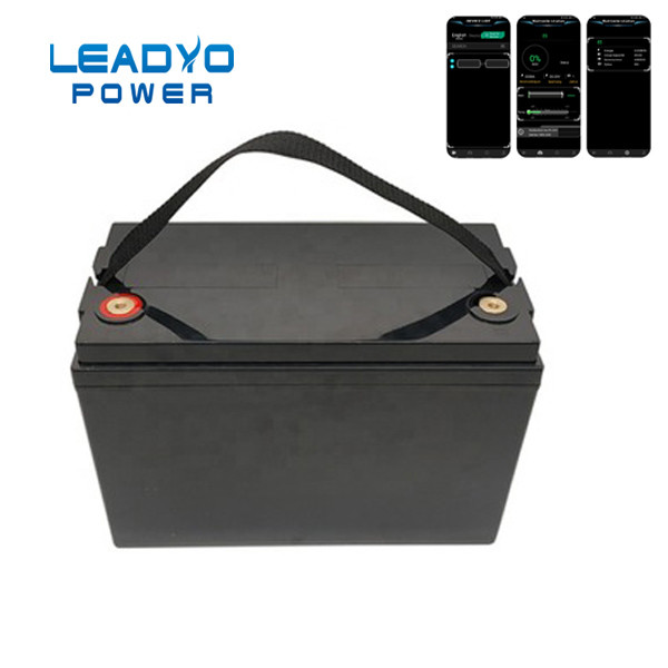 12V 100Ah Leadyo Battery RV Deep Cycle Lifepo4 Battery WIth Monitor APP